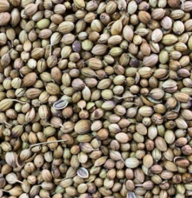 Coriander Powder